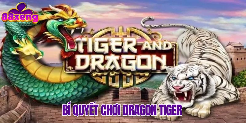 Nắm chắc mọi bí quyết hay để tham gia Dragon Tiger